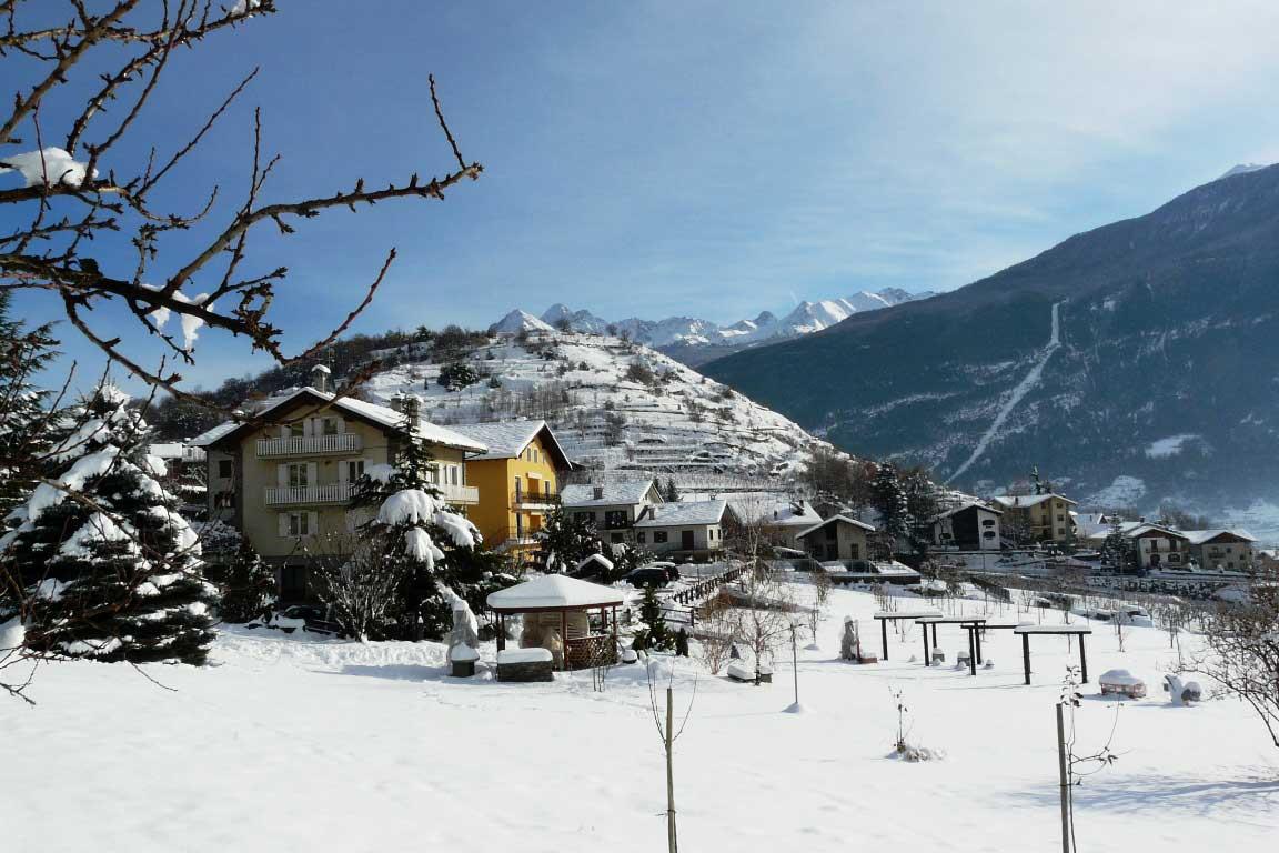 Verger Plein Soleil