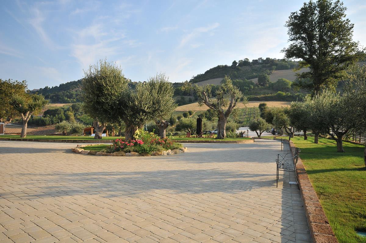Poggio Agli Ulivi