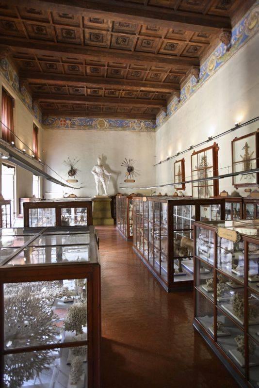 Museo di Storia Naturale
