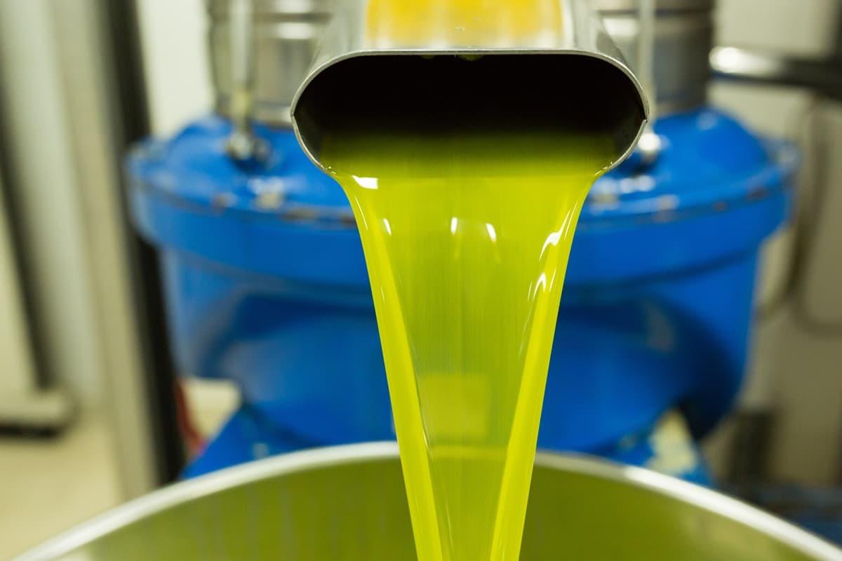 Azienda Agricola Il Cascin