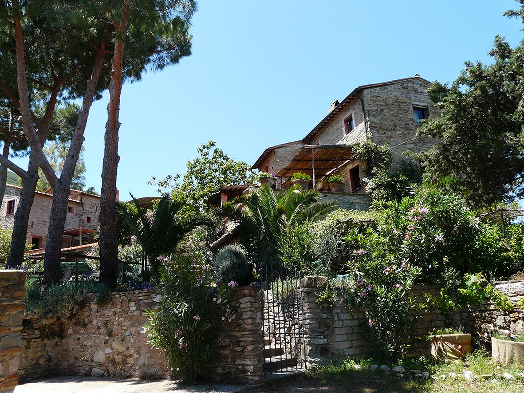 LE FORESTE
