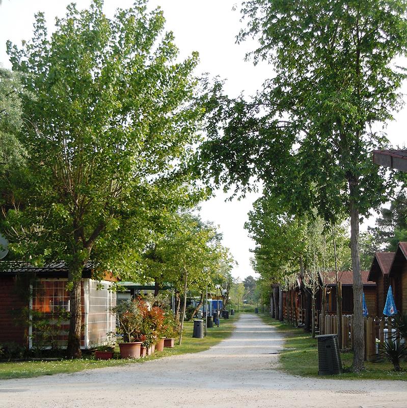 Camping Reno