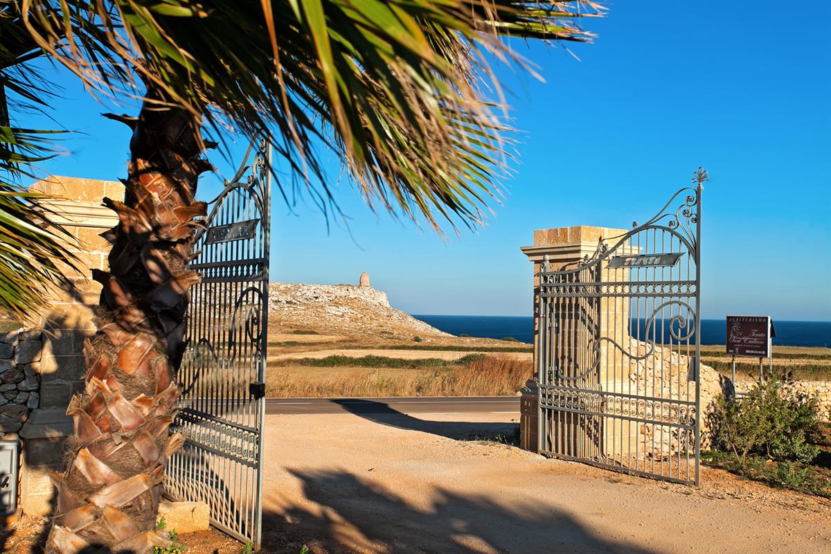 TENUTA SANT'EMILIANO