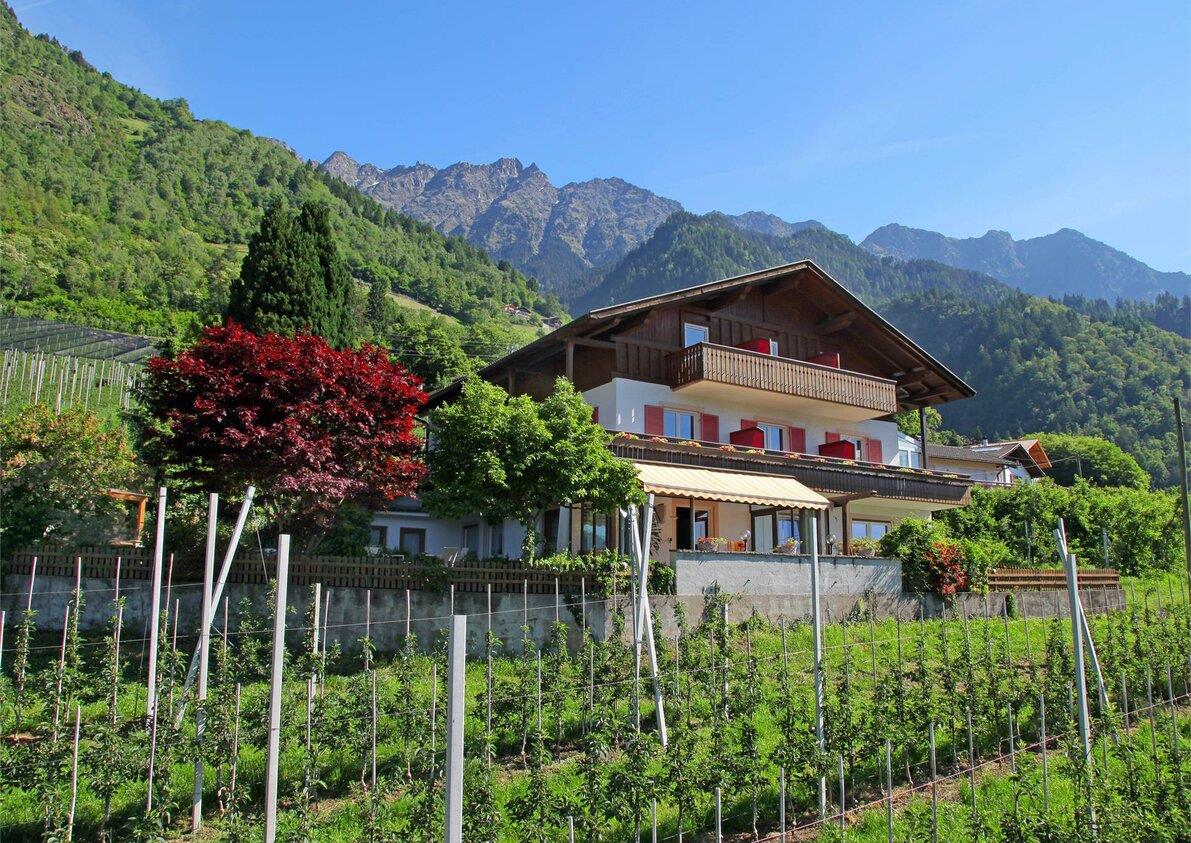 Appartamenti Castellan