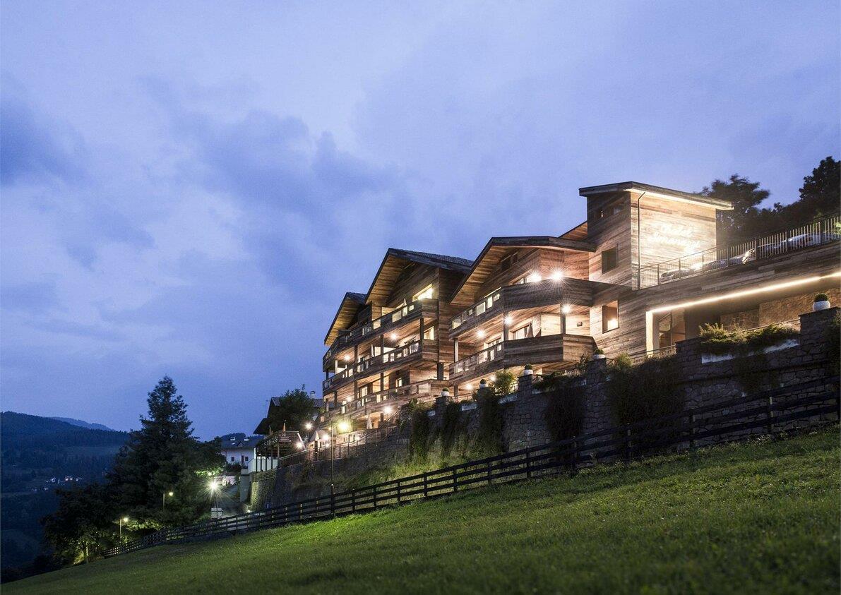 Residence Chalet Simonazzi