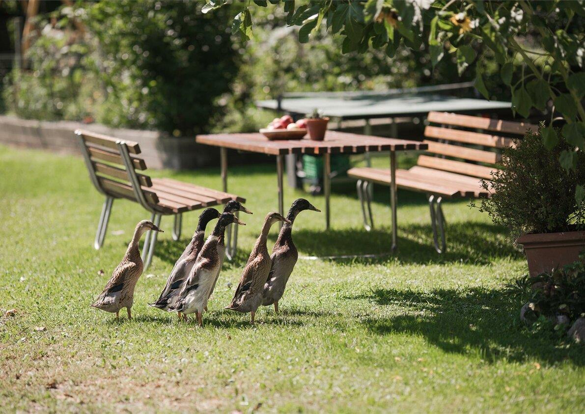 Agriturismo Untermairhof
