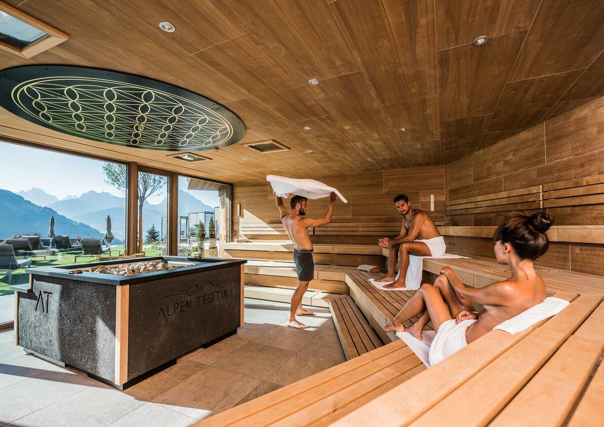 Hotel Alpen Tesitin