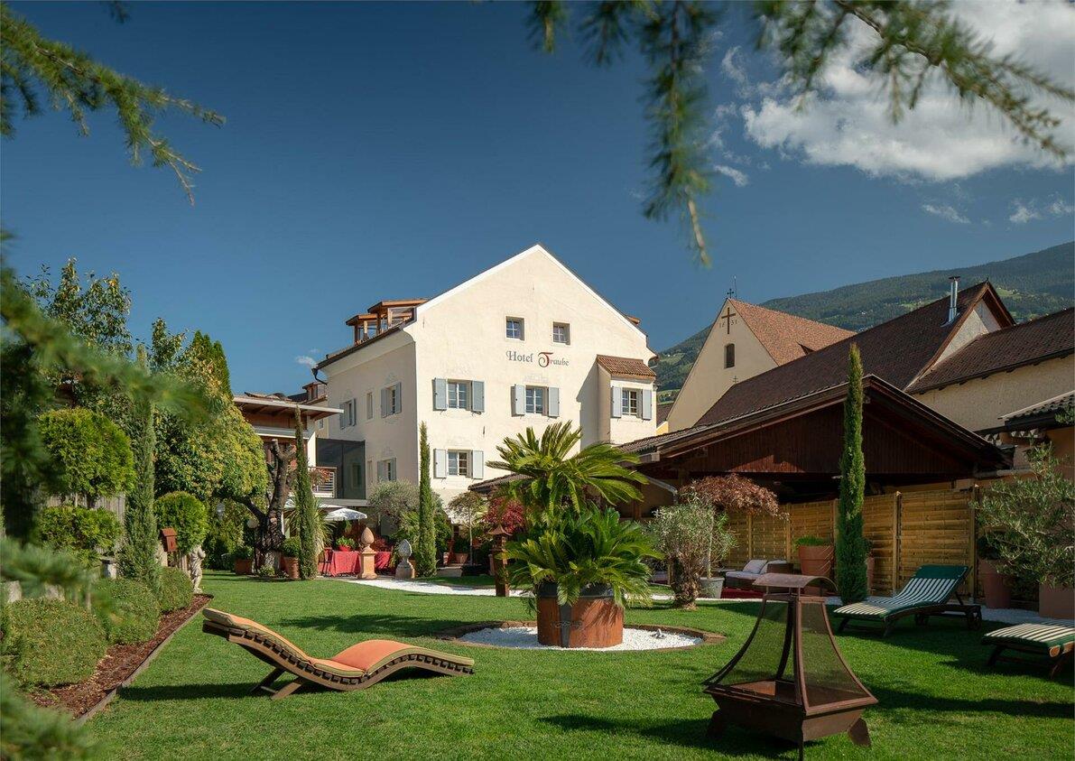 Hotel Traube