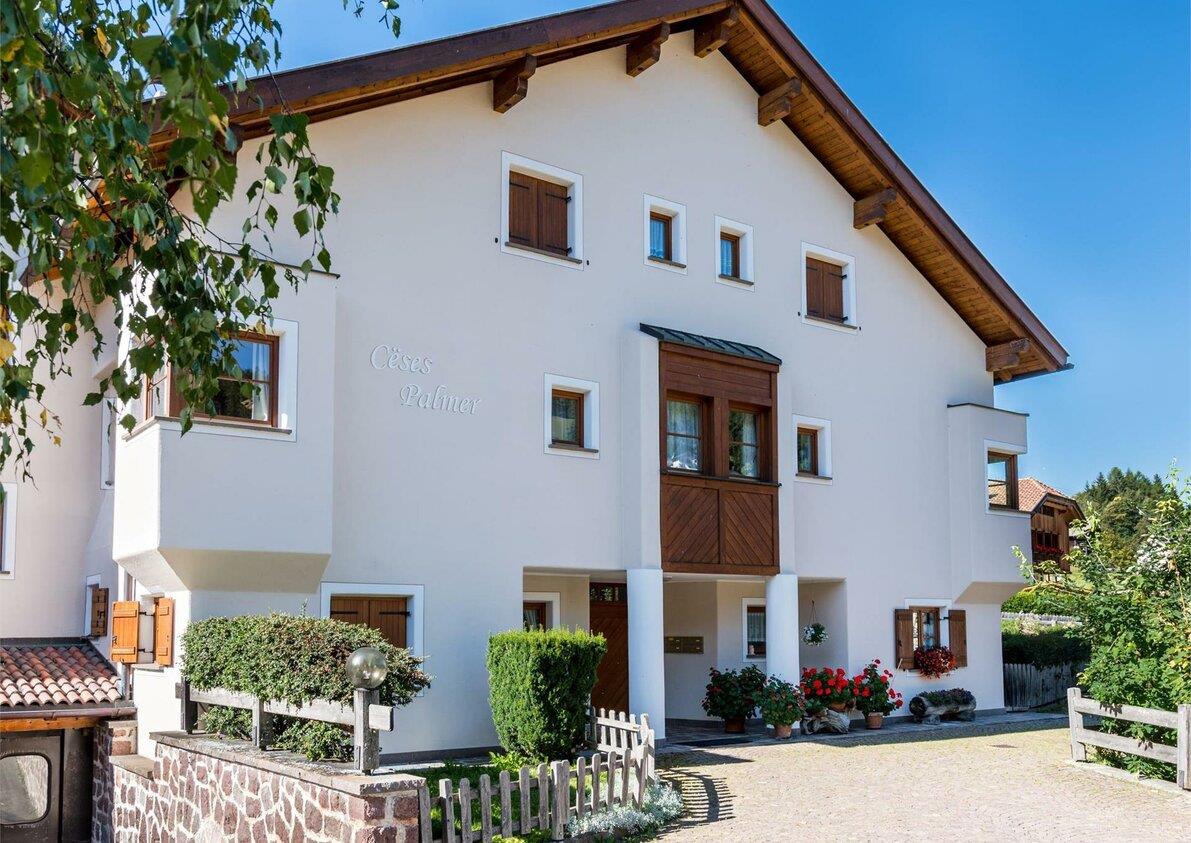 Apartments Palmer
