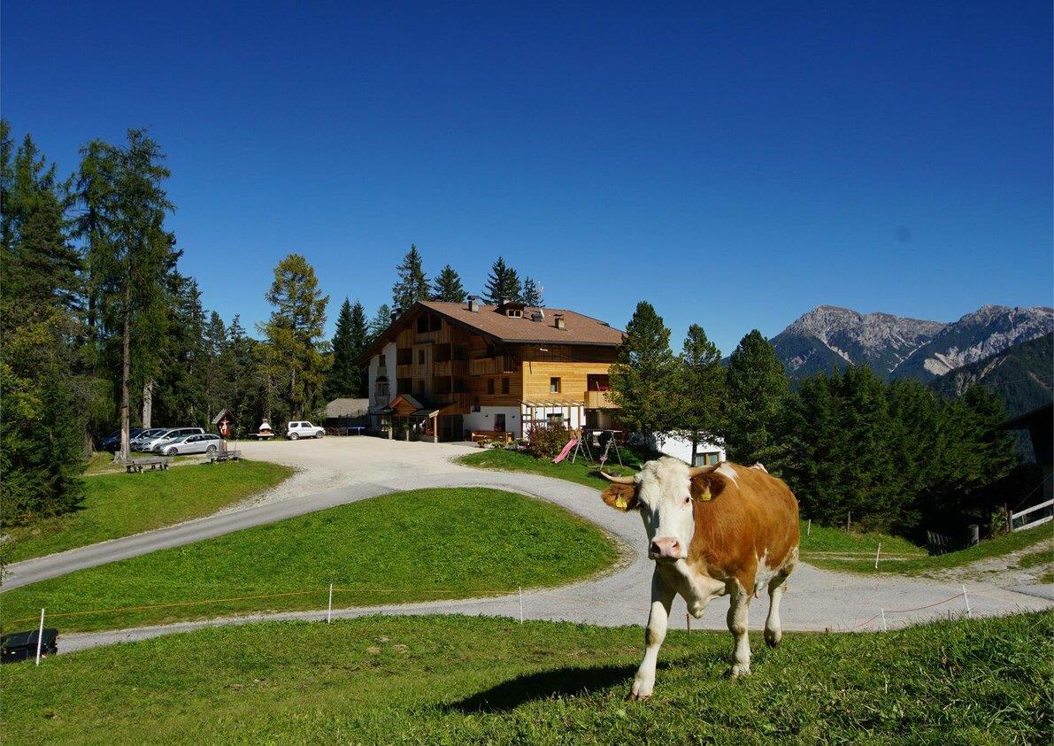 Hotel Chalet Frapes