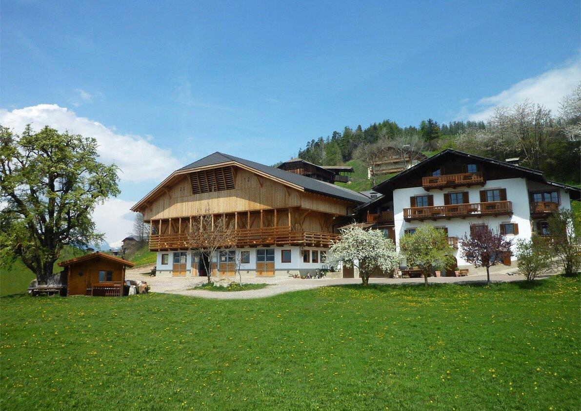 Maso Gschtraff