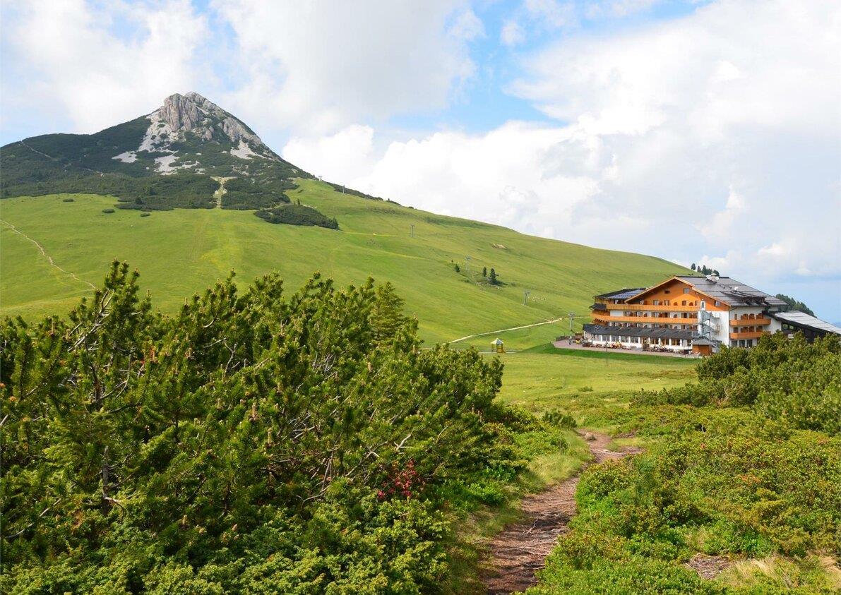 Hotel Corno Nero