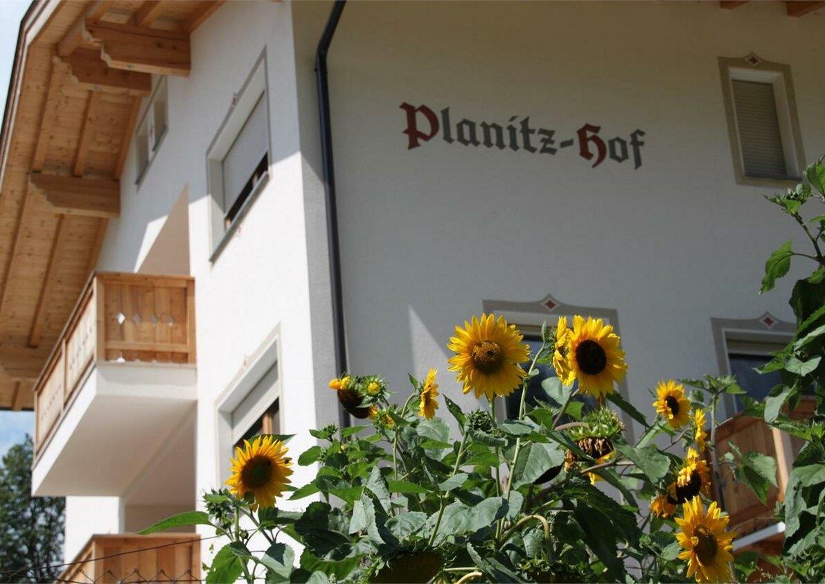 Maso Planitz