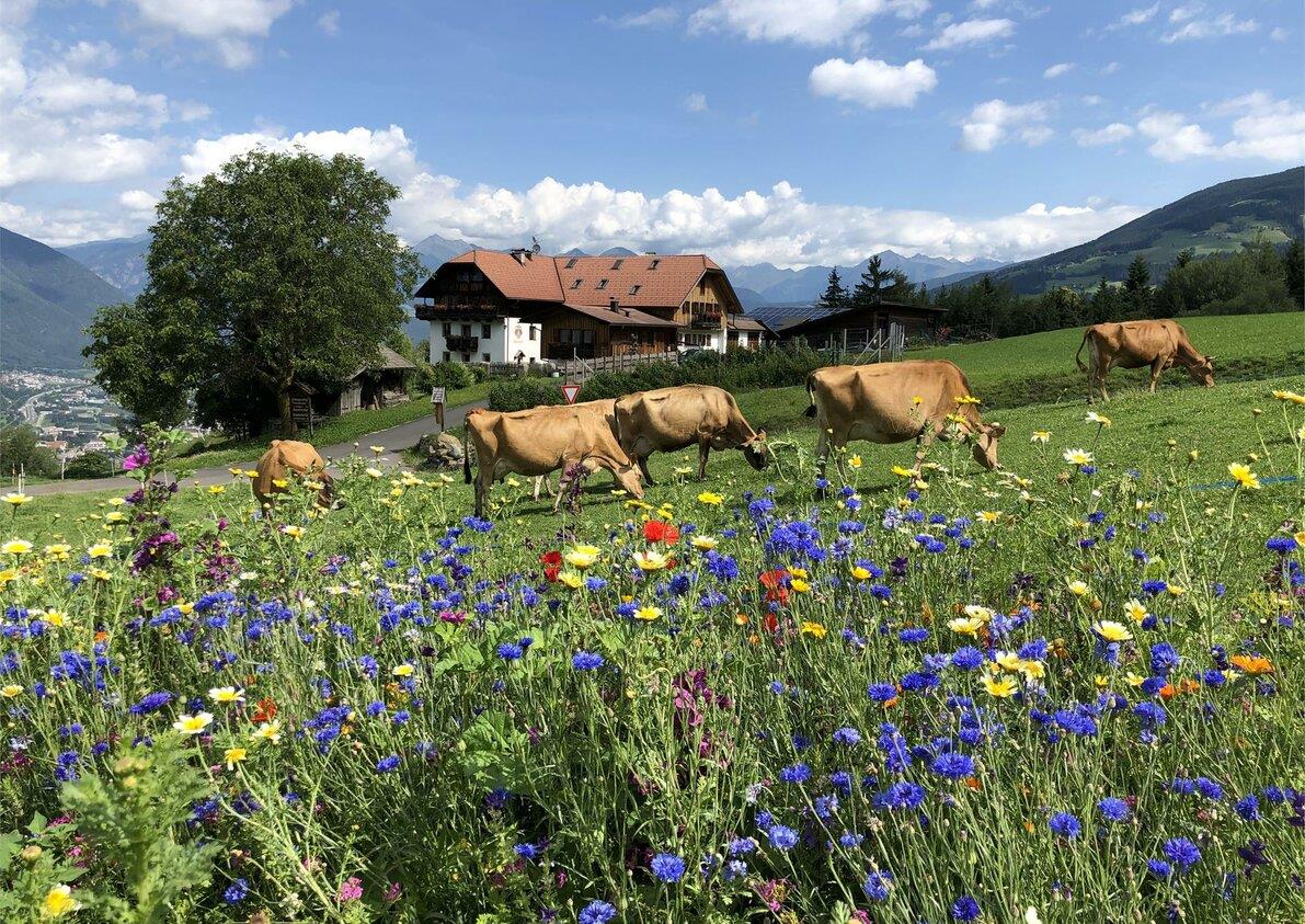 Maso Schnagererhof