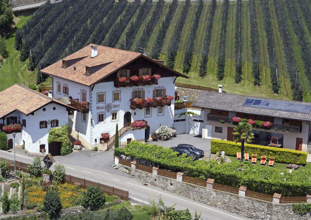 Agriturismo Mayerhof