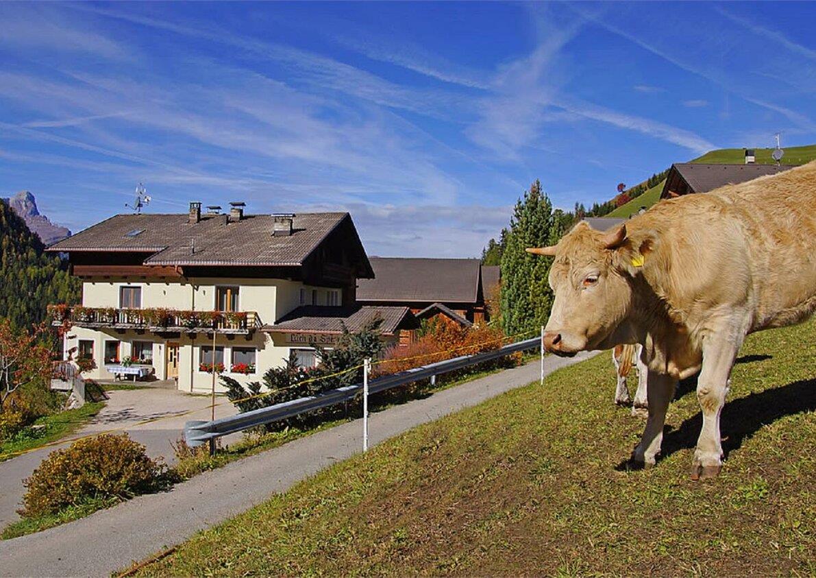 Spëscia