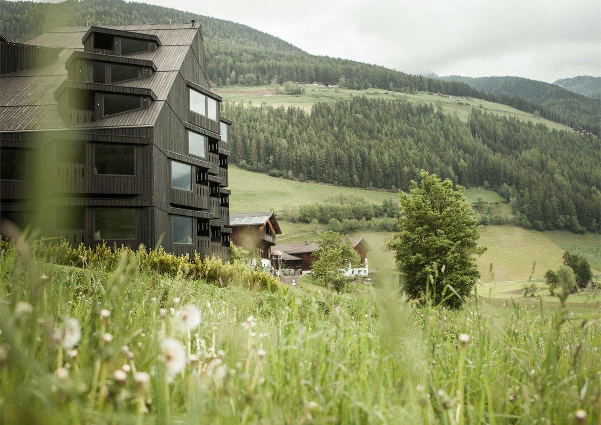 Bühelwirt Hotel