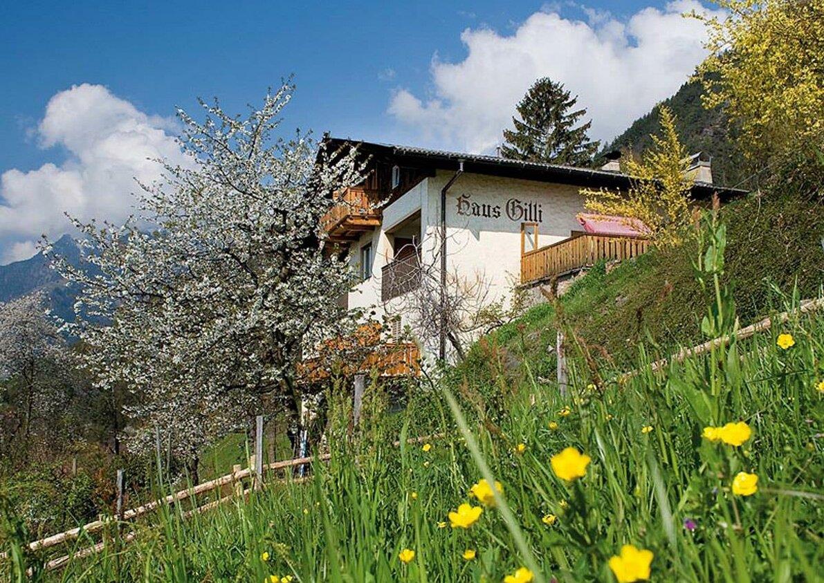 Haus Gilli