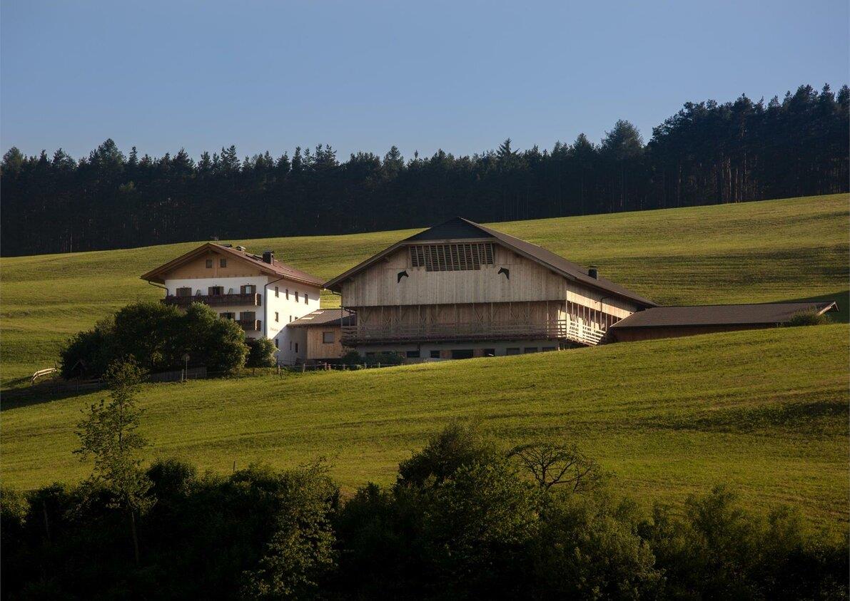 Maso Oberlanzin