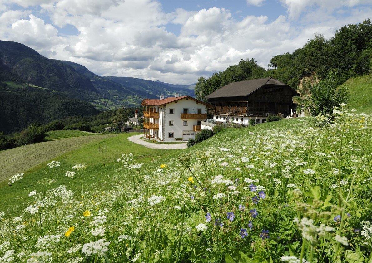 Maso Obertschötscher