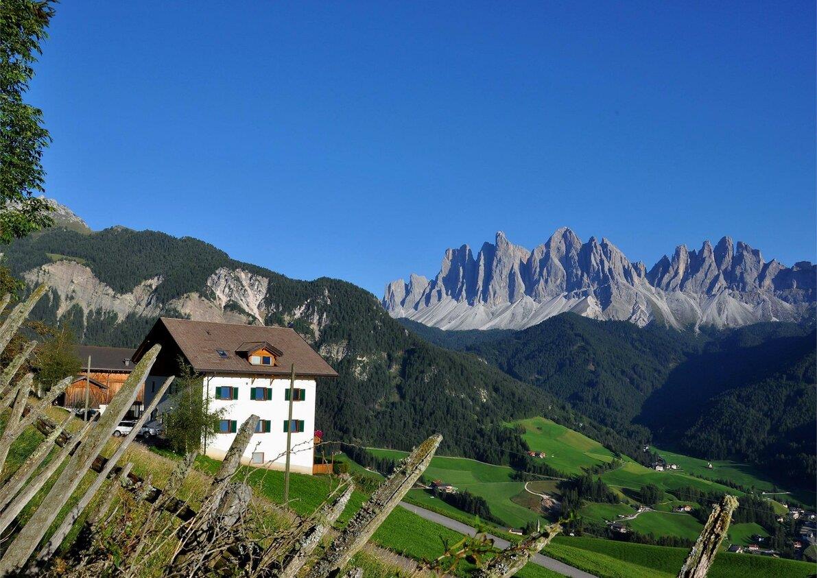 Felthunerhof