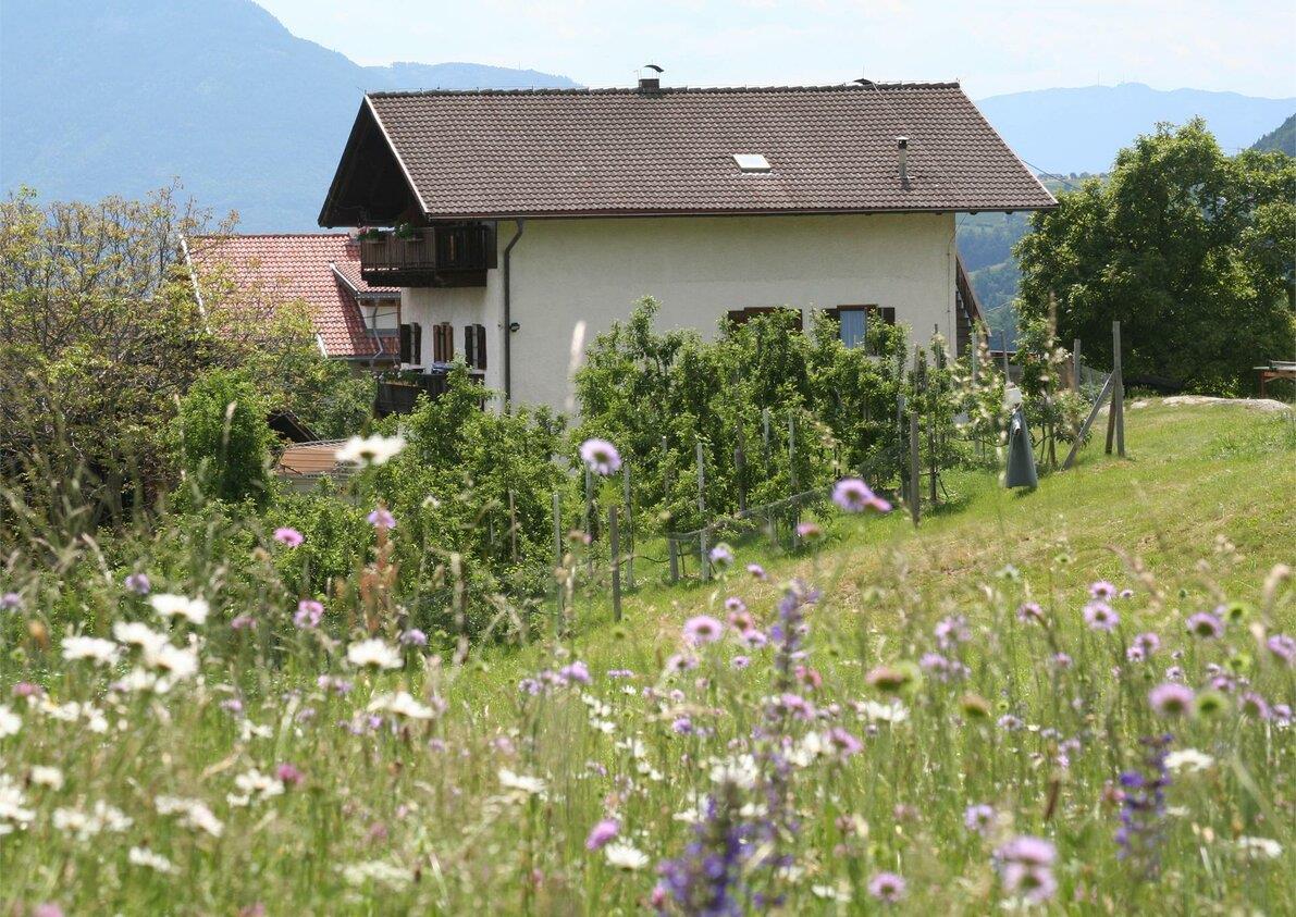 Maso Pardellerhof
