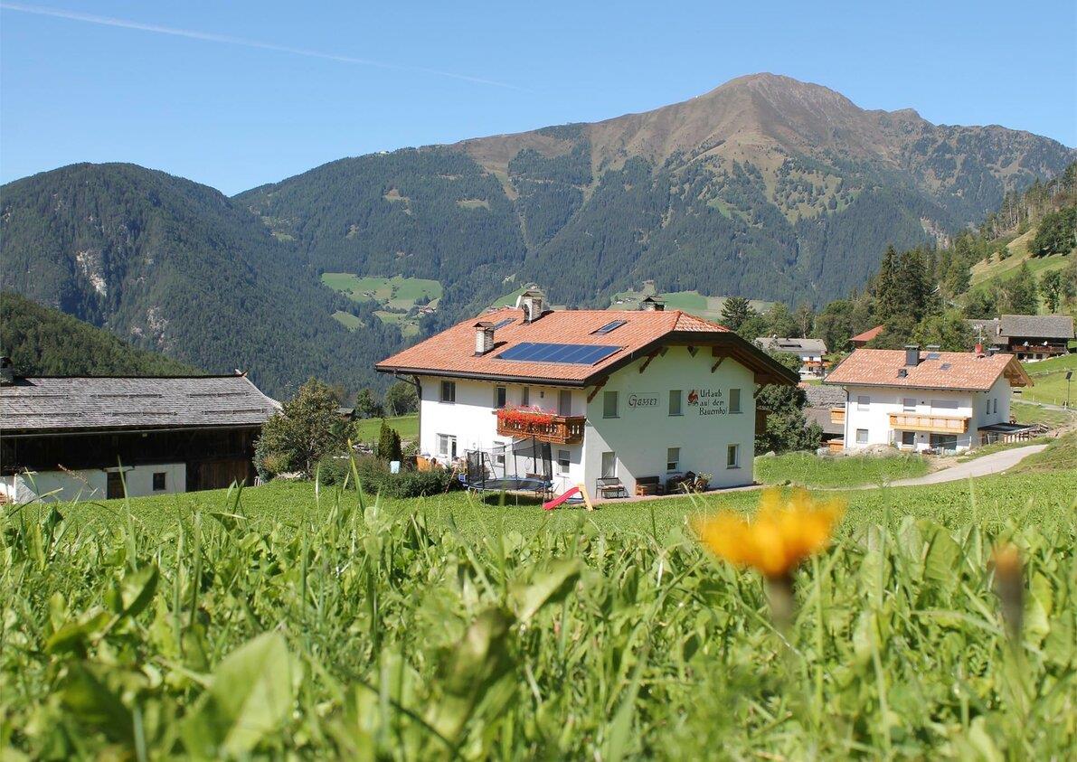 Apart. Gasserhof