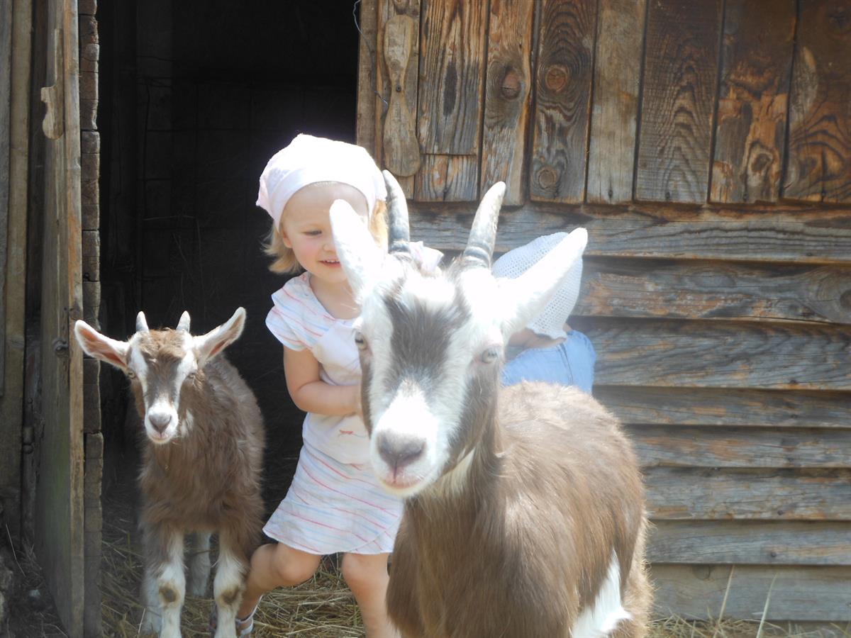 Agriturismo Al Sass