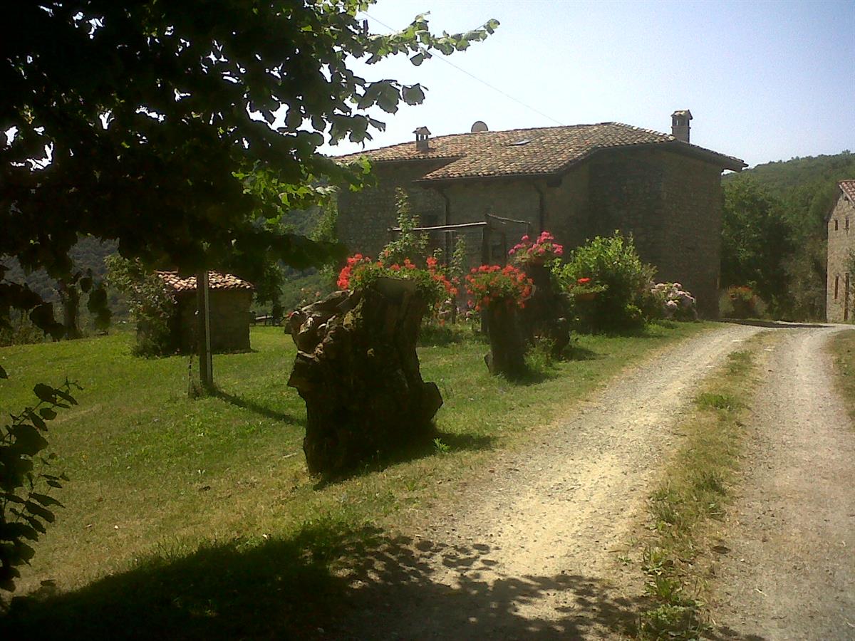LA PIANA DEI CASTAGNI