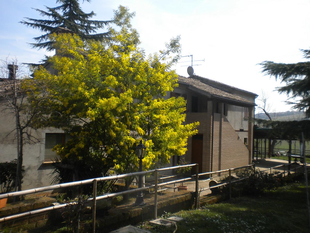 Le Vergare