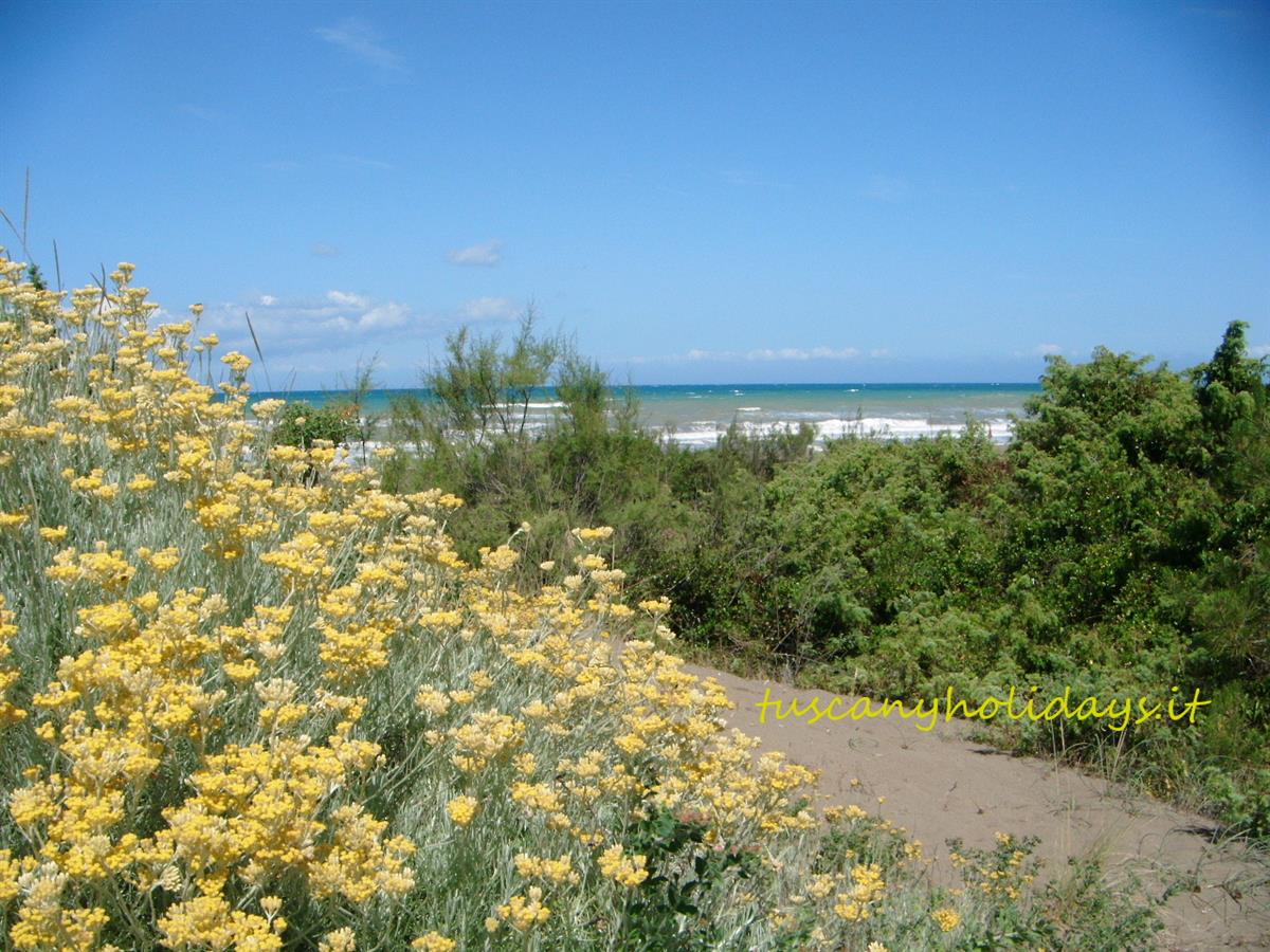 Vacanze Toscane S.a.s. di Annachiara Moscardini & C.
