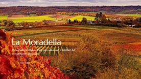 Az. Vitivinicola La Moradella Di Bernini M. E G. Societa' Agricola S.S - >Ziano Piacentino Az. Vitivinicola La Moradella Di Bernini M. E G. Societa' Agricola S.S - >Ziano Piacentino